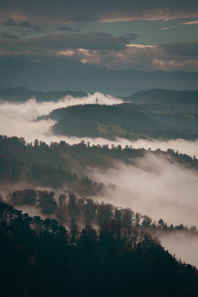 Mgła unosząca się nad leśną doliną